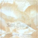 Porcelain Floor Tiles 60 × 60