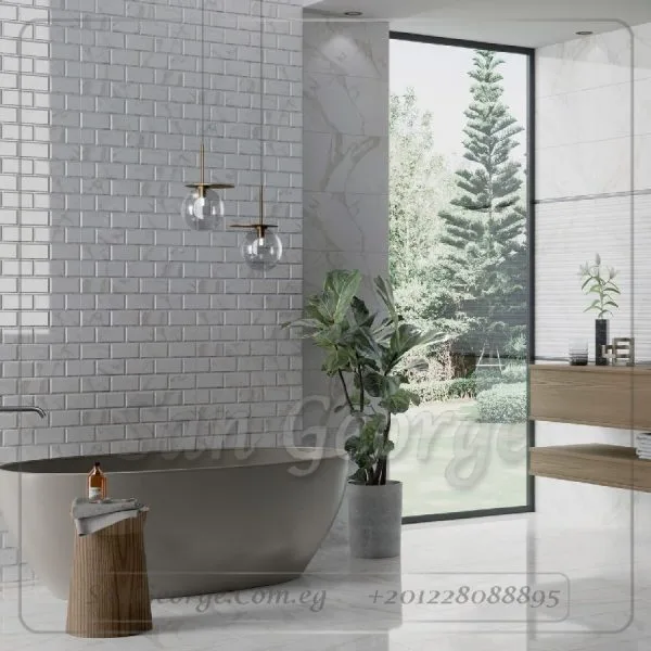 Lorinzo لورينزو 30 × 60 من سيراميكا كليوباترا